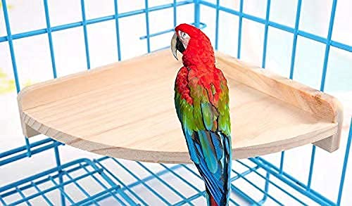 Bird Perch Stand Platform,Natural Wood Playground, Birdcage Stand with shield，Natural Wood Playground Paw Grinding for Bird Parrot Macaw African Grey Budgies Parakeet Cockatiels Conure Lovebird Finch - PawsPlanet Australia