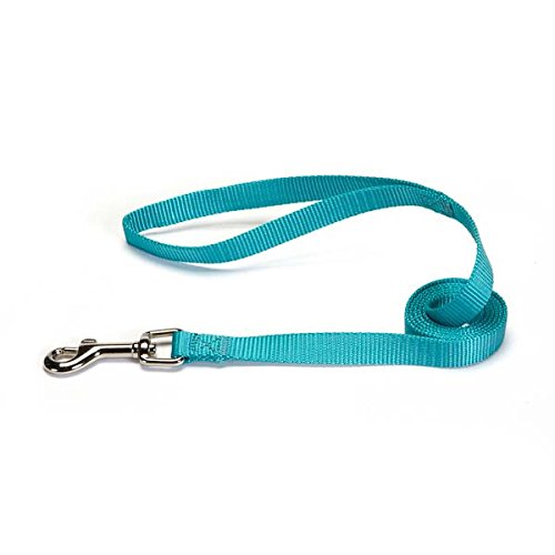 Zack & Zoey Basic Nylon Dog Leash, 4-Feet x 5/8-Inch Lead, Bluebird - PawsPlanet Australia