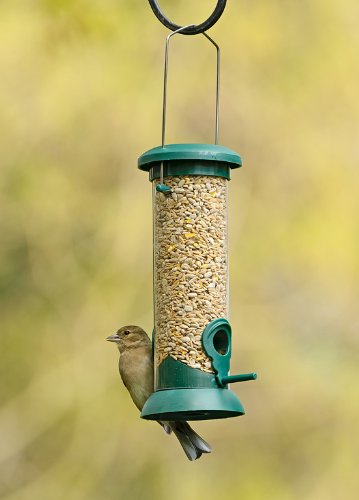 RSPB 9 inch Hanging Classic Seed Feeder for Mix Seed Blends, Nyjer Seed, Sunflower, Supporting the RSPB Charity, Easy Clean for Garden & Outdoor use - PawsPlanet Australia