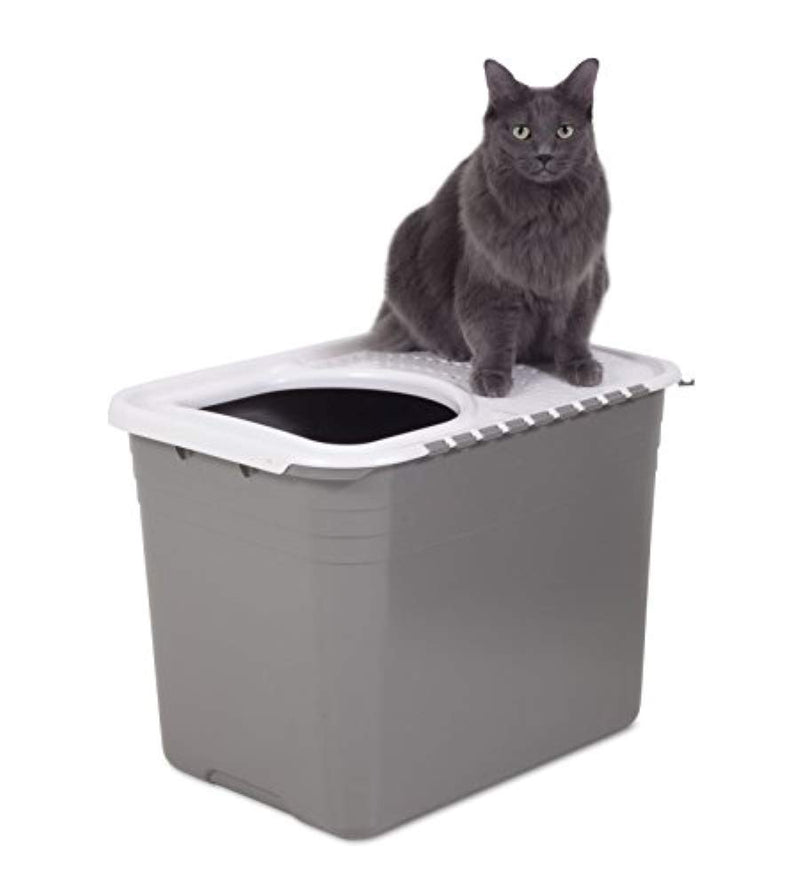 Petmate Top Entry Litter Pan Cat Litter Box Brushed Nickel/Pearl White - PawsPlanet Australia