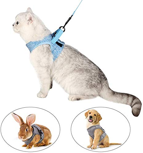 GWL Cat Harness and Leash Set, Escape Proof Cat Kitten Vest Harness with Lead, Ultra-Light Kitten Collar Cat Walking Jacket, Soft and Adjustable for Puppies Rabbits with Cationic Fabric (Blue, M) Blue - PawsPlanet Australia