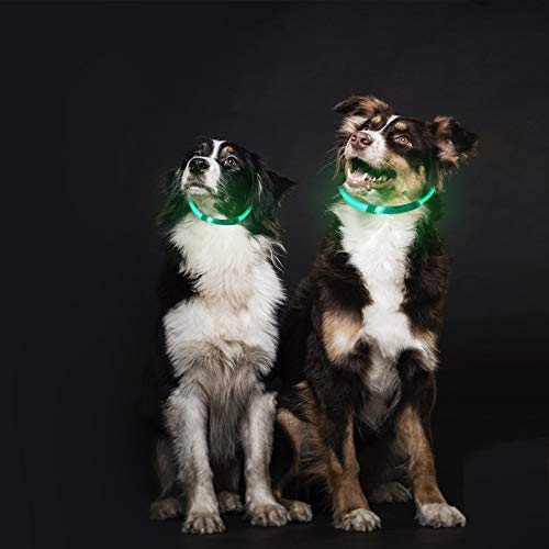 MSC LED Dog Collar USB Rechargeable Ultra Bright Light up Safety Collar Water Resistant and High Visibility for Enhanced Small Medium and Large Dog safety GrnDgClr - PawsPlanet Australia