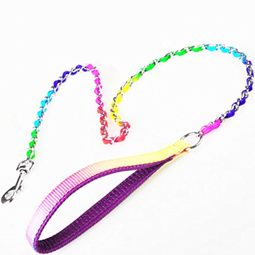 JWPCEU Rainbow Chrome Plated Metal Dog Lead with Padded Handle M (3mm * 100cm) - PawsPlanet Australia