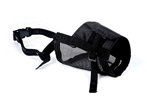 Dingo Nylon Muzzle for Parson Russel Pinscher, Miniature Schnauzer, Puppy, Small Breeds 16774 S New - PawsPlanet Australia