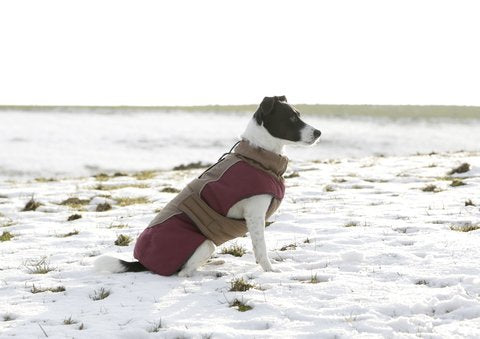 Kerbl Royal Pets Dog Coat, 35 cm - PawsPlanet Australia