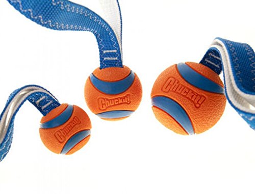 Chuckit Ultra Tug Dog Toy, 5 cm, Small Assorted S - PawsPlanet Australia