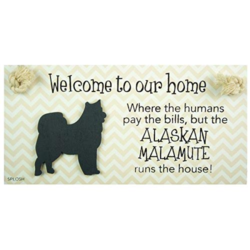 PRECIOUS PETS DOG PLAQUE AND DOG LEAD HOOK PACK, ALASKAN MALAMUTE, FUNNY SIGNS, DOG MUM GIFTS, DOG ACCESSORIES, HOUSE STUFF. - PawsPlanet Australia