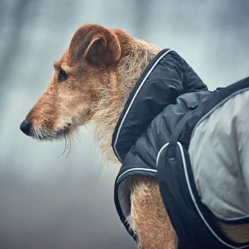 HUNTER Dog coat Uppsala Extreme 40 Black/Grey, S - PawsPlanet Australia