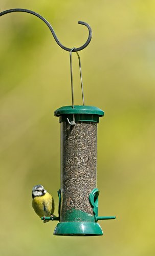 RSPB Premium Hanging Nyjer Seed Feeder, Easy Clean, Aluminium, 9-inch, bird seed niger feeder. supporting RSPB charity. Wild bird, for use in gardens & outdoors pouches 9 inch - PawsPlanet Australia