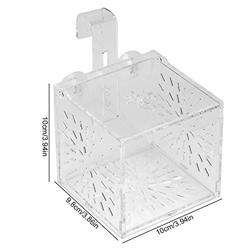 [Australia] - Fish Tank Breeding Isolation Box Aquarium Acclimation Hatchery Incubator Acrylic Transparent Aquarium Hatchery Incubator Holder 10CM*10CM*10CM 