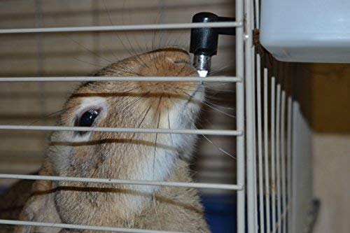 No Drip Small Animal Water Bottle. BPA Free. Best Water Bottle for Small Pet/Bunny/Ferret/Hamster/Guinea Pig/Rabbit - PawsPlanet Australia