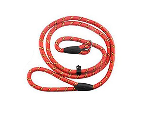 erioctry Pet Dog Nylon Adjustable Loop Slip Traning Leash Lead Rope Slip Dog Leash and Collar 1.2m Red - PawsPlanet Australia