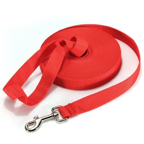 [Australia] - E-lishine Long Leash 50 Feet Dog Leash 1 Inch Wide with Padded Handle,Super-Durable and Heavy Duty,Best for all Medium and Large Breeds … Red 