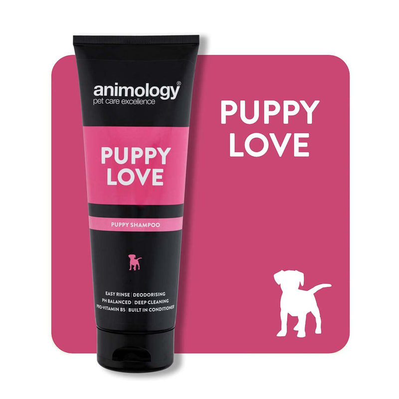 Animology Puppy Love Shampoo | For healthy puppy coat | Easy-rinse formula | Balanced pH and deep cleansing effect for sensitive skin | Built-in conditioner | 250ml 3 Pack 250ml (Pack of 3) - PawsPlanet Australia