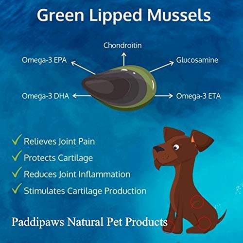 PADDIPAWS High Strength Green Lipped Mussel for dogs with added Vitamin C - Sustainably farmed - 90 Green Lipped Mussel Powder Capsules - Easy to Administer - Twist and Sprinkle - PawsPlanet Australia