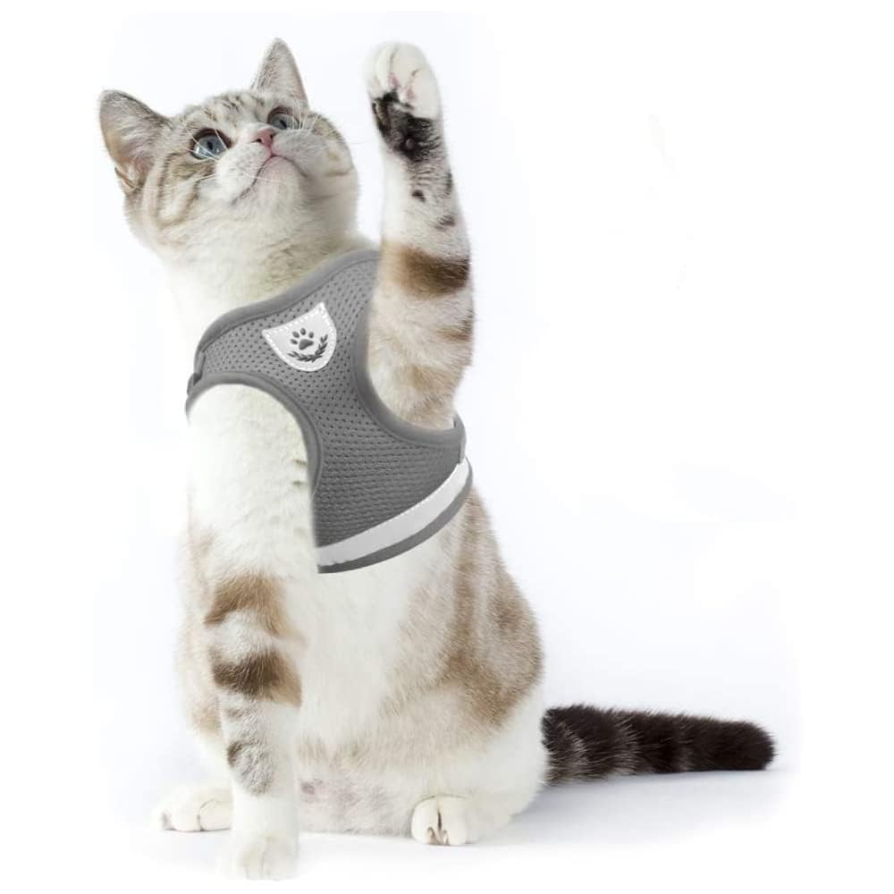 Supet cat harness with leash, escape-proof, cat leash with harness for cats, adjustable cat harness, soft cat vest for small kittens, dogs (grey, S (chest circumference: 26-32 cm)) S (chest circumference: 26-32 cm) grey - PawsPlanet Australia