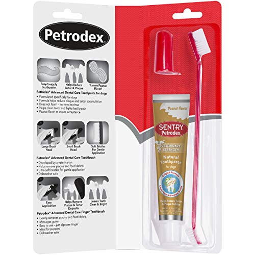 Petrodex Sentry Natural Peanut Dental Kit For Dogs, 2.5-Ounce - PawsPlanet Australia