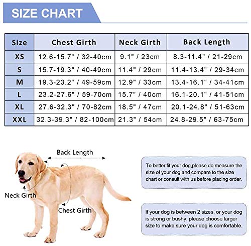 Recovery Suit for Dogs Cats After Surgery, Recovery Shirt for Male Female Dog Abdominal Wounds Bandages Cone E-Collar Alternative, Anti-Licking Pet Surgical Recovery Snuggly Suit, Soft Fabric Onesie XXL(Back length:24.8-29.5") - PawsPlanet Australia