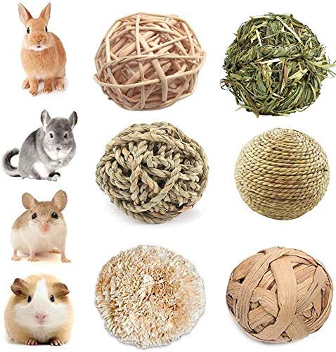 YANGWX Rabbit Guinea Pig Hamster Bunny Chew Toys, Natural Wooden Chinchillas Toys Exercise Accessories, Teeth Care Molar Toy for Hamster Rabbits Gerbils Bird Parrot(7CM&10CM)-6pcs M:6PCS - PawsPlanet Australia