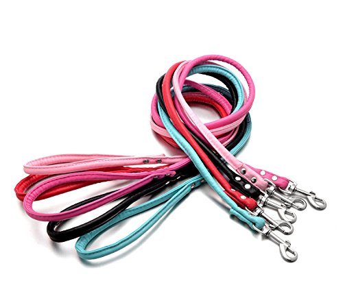 [Australia] - Smoosky Pet Supplies Round Colorful Leather Rolled Dog Puppy Walking Leashes for Small Medium Breeds S Blue 