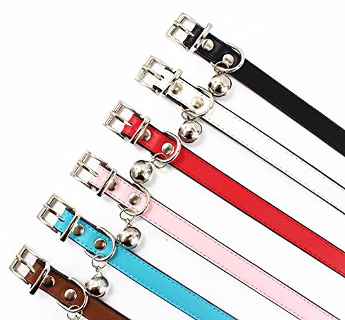 [Australia] - JIngwy Metal Buckle Pet Collar and Leash Set with Bell Suit for Cats or Puppy Dogs White/Black/Red/Pink/Blue/Brown S (Collar) Red 