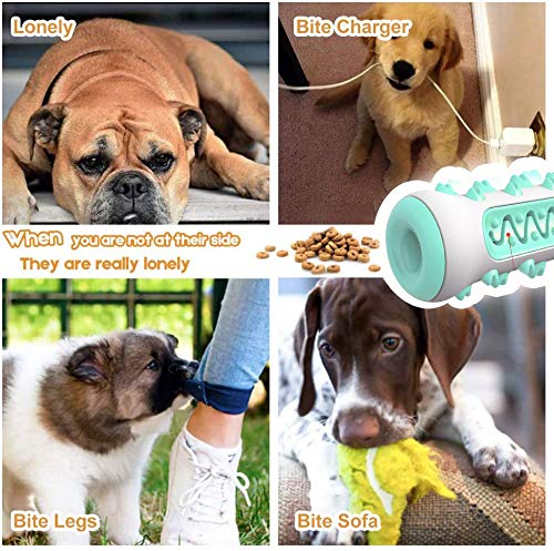 Pet Puppy Toothbush Chew Toys Stick Extremely Durable Puppies Tooth Care Toy Small Dogs Dental Chwes Teeth Cleaning Tool,Doggy Brushing Aggressive (2020 Upgrade Dual-Purpose Dog Toy ) - PawsPlanet Australia