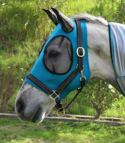 HC_DIY Fit Horse and Arab Size Lycra Professional Comfort BLUE - PawsPlanet Australia