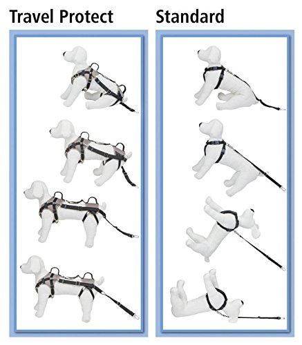 Kerbl 81336 Travel Protect car safety harness, XS, gray - PawsPlanet Australia
