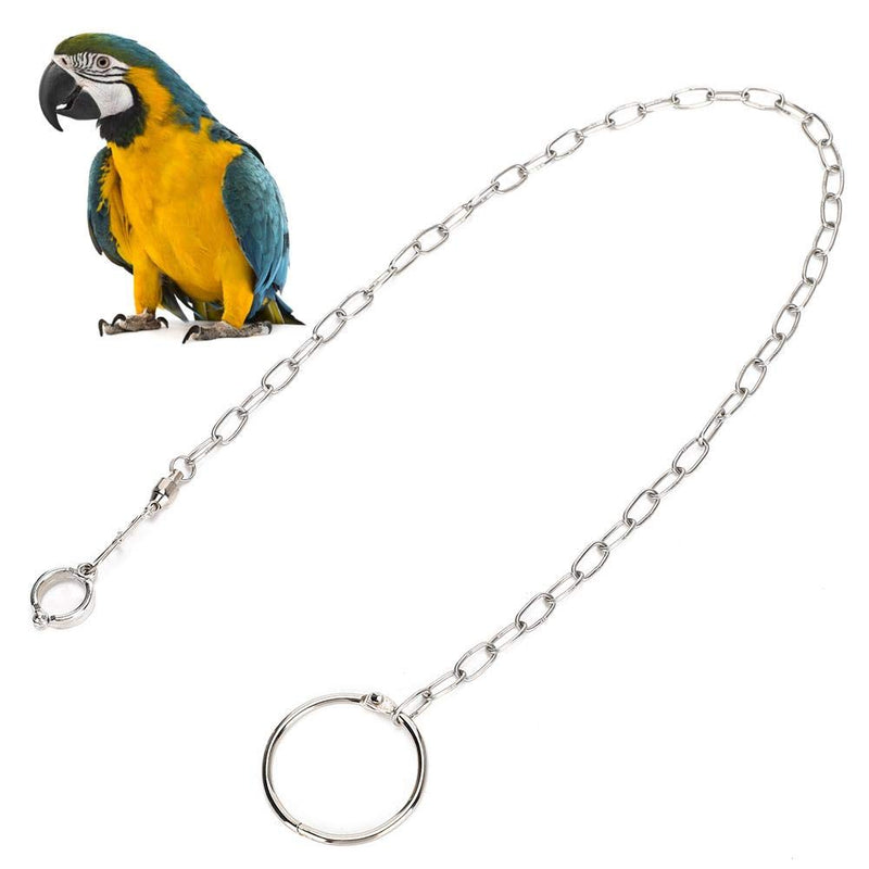 ViaGasaFamido Parrot Foot Chain, Stainless Steel Split Anti Flying Bird Foot Chain Large Parrot Anti Escape Training Anklet Ring for Birds Parrots - PawsPlanet Australia