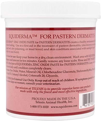 ( 2 Pack) EQUIDERMA Zinc Oxide Paste 16oz for Pastern Dermatitis and Sunburn with 10ct Pet Wipes - PawsPlanet Australia