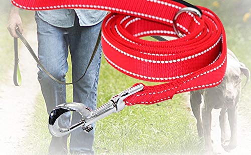 [Australia] - MASKOTA Reflective Dog Leashes 6FT for Large or Medium Breed Dogs (Newly Launched) 6 FT, Red 