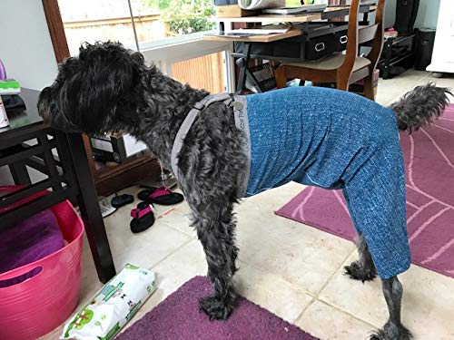 [Australia] - Mozzie Pants Dog Suspenders, Dog Diapers and Belly Bands. 