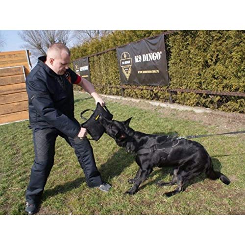 DINGO GEAR Reinforced Bite Pillow Handmade Strong Wedge with 3 Handles for Dog Bite Training Nylcot, Black S00522 - PawsPlanet Australia