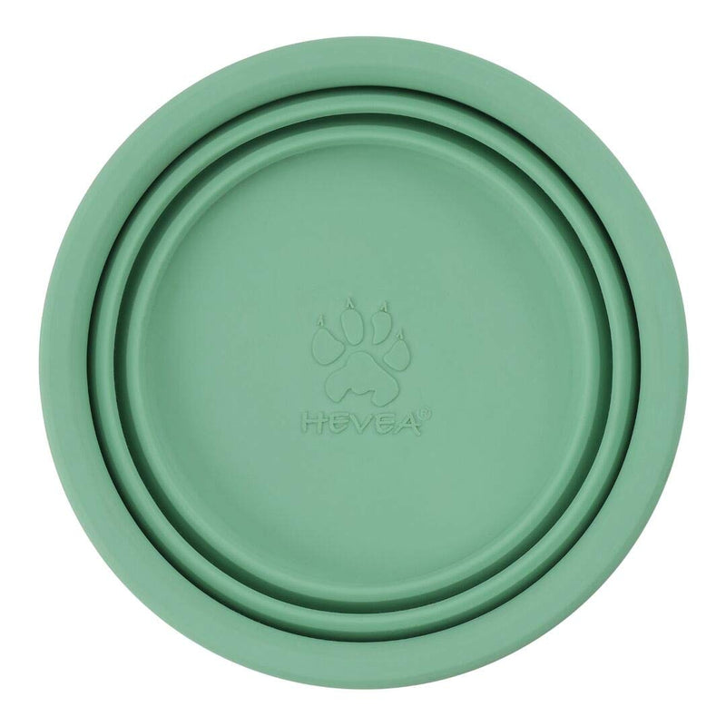 [Australia] - HEVEA Bowl on The go for Dogs, Foldable, Collapsible Water Bowl for Dogs. Made from Non-Toxic, Plastic-Free, BPA-Free and PVC-Free Natural Rubber. Pale Mint Holds 10oz. 