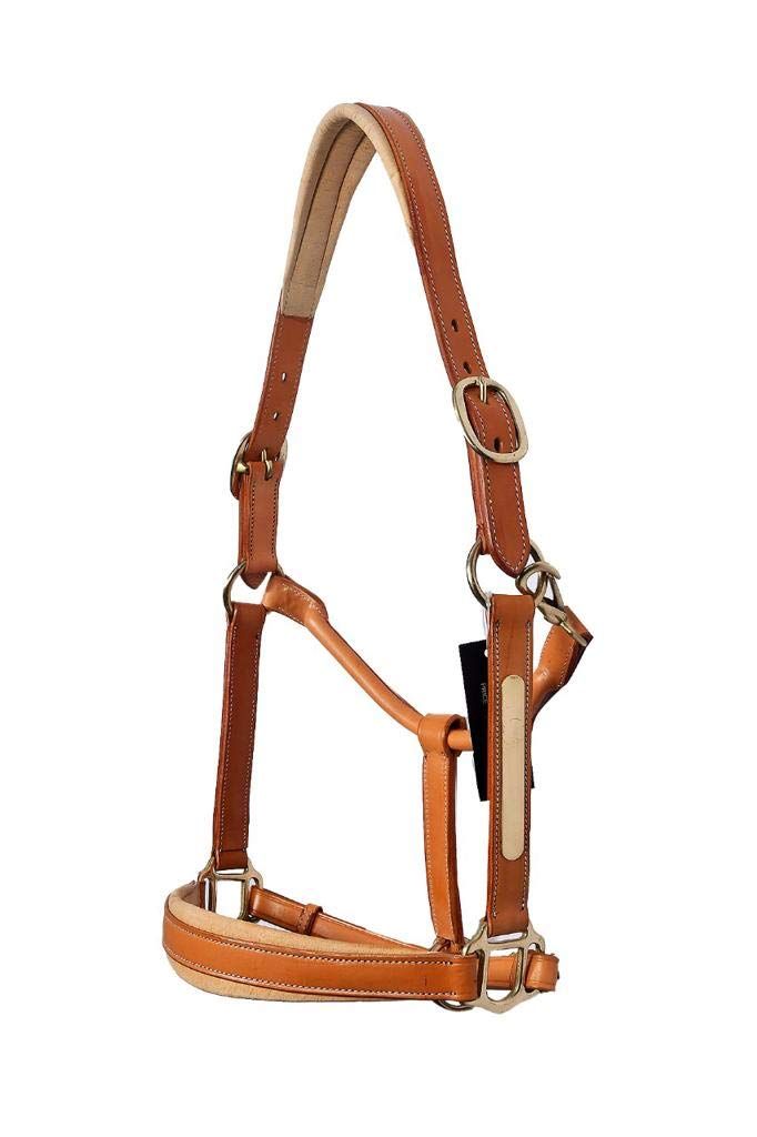 Equipride ARGENTINAN COW LEATHER HEADCOLLAR WITH NAME PLATE FULLY ADJUSTABLE TAN (Full) Full - PawsPlanet Australia