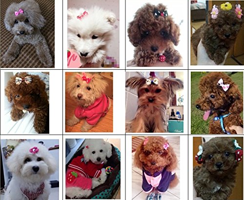 [Australia] - Dogs Kingdom Variety Patterns Pet Dog Cat Head Flower Hairpin Pet Bow Hairpin One Size Random-10pcs 