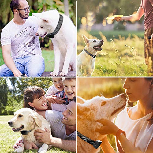 NBJU Bark Collar for Dogs,Rechargeable Anti Barking Training Collar with 7 Adjustable Sensitivity and Intensity Beep Vibration for Small Medium Large Dogs Black - PawsPlanet Australia