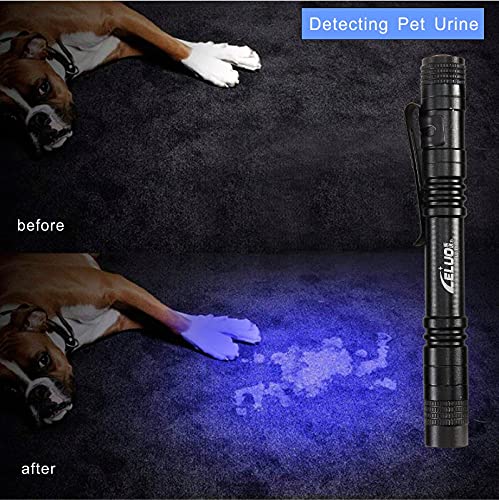 2 Pack UV Penlight Flashlight with Clip，Mini LED Handheld Tactical Pocket Torch with High Lumens，Blacklight Detector for Money Detector,Pet Urine,Pet Stains and Bed Bug1 Purple Light - PawsPlanet Australia