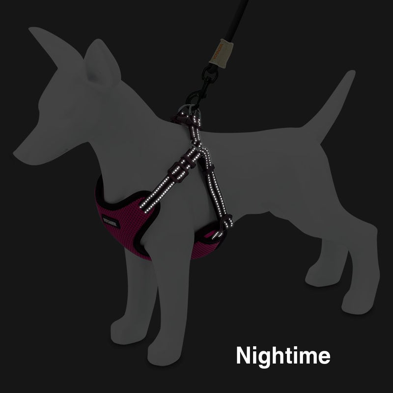 [Australia] - Voyager Step-In Flex Dog Harness - All Weather Mesh, Step In Adjustable Harness for Small and Medium Dogs by Best Pet Supplies Fuchsia 