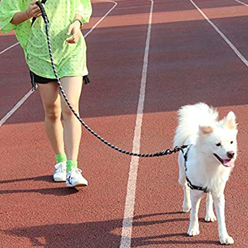 Dog leash 1.5M with comfortable padded handle and highly reflective threads for small, medium and large dogs nero 02 - PawsPlanet Australia