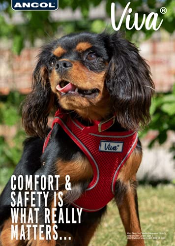Ancol Viva Lightweight Breathable Comfort Mesh Dog Harness Red Size Medium (Fits Girth 44-57 cm) - PawsPlanet Australia