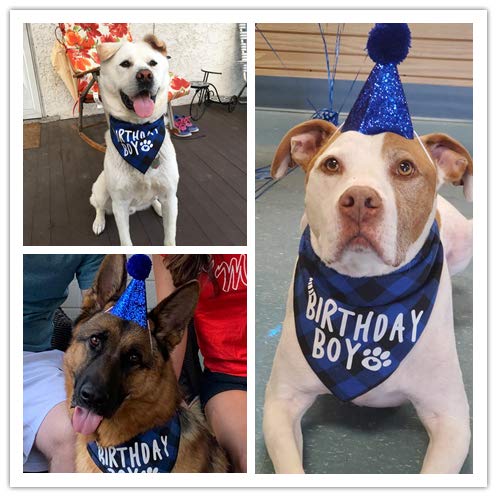 Pets Birthday Party Supplies,Dog Birthday Bandana Set,Pet Birthday Hat and Boy Doggy Birthday Bandana Set - PawsPlanet Australia