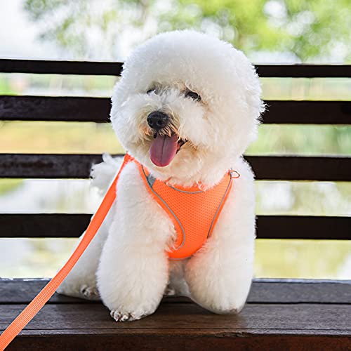 Dogs Harness Leash Set Family Pet Dog Leash Escape Proof Safe Cat Vest Harness for Walking Outdoor - Reflective Adjustable Soft Mesh Breathable Body Harness - Easy Control for Small, Medium, Large Cats and dogs Orange S（neck: 12"-14" chest:15"-17.5"） - PawsPlanet Australia