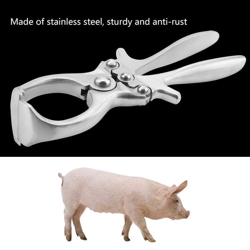 [Australia] - Castration Plier, Stainless Steel Castration Forceps Emasculate Castration Tools for Bulls Calves Cattle 