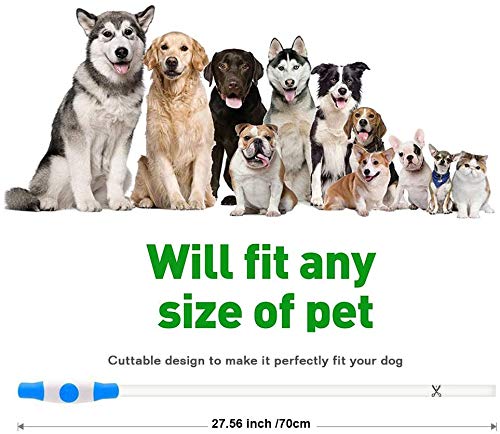 CCWW LED light collar for dogs USB rechargeable LED dog collar piece dog collar luminous rechargeable and adjustable in length with three lighting modes for dogs and cats green - PawsPlanet Australia