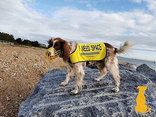 Yellow Dog UK Dog Vest - I NEED SPACE (Extra Small) Extra Small - PawsPlanet Australia