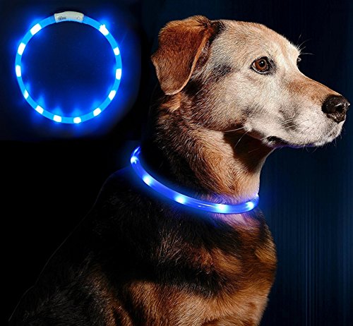 LaiXin LED Dog Collar Waterproof, Pets Collar Illuminated Rechargeable with USB Cable, Reflective Dog Collar Silicone Light and Adjustable for Medium Dog and Cat - Blue (M, 50cm) 50cm(Length) Blue(Rechargeable) - PawsPlanet Australia