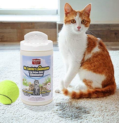 [Australia] - Mr. Luckys Premium, ALL-NATURAL Cat Urine Odor Eliminator Keeps Litter Box Smelling Fresh, Removes Stinky Smell of Cat Pee From the Air. Safe for pets and humans, does not stain floors and furniture 