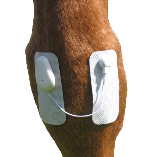 Microlief Under Wraps - Natural Pain Relief Therapy Patch for Equine Injury Prevention, Treatment, Recovery and Rehabilitation Basic - PawsPlanet Australia