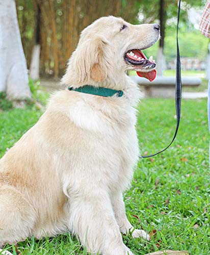 Eco Friendly Pure Cotton Webbing Dog Collar Classic Pet Neck Collar for medium small large size dogs(Medium) - PawsPlanet Australia